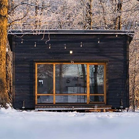 Beautiful Tiny House On The Lake Side. Trakai Exterior foto